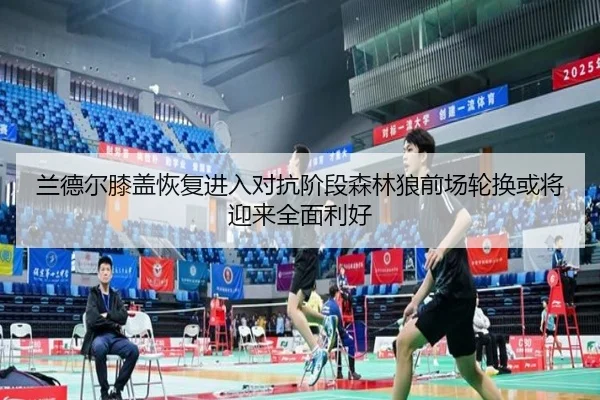 兰德尔膝盖恢复进入对抗阶段森林狼前场轮换或将迎来全面利好
