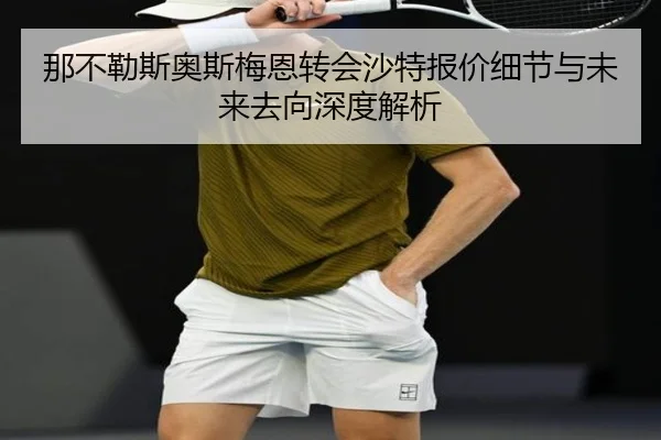 那不勒斯奥斯梅恩转会沙特报价细节与未来去向深度解析